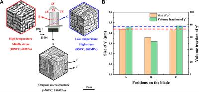 Microstructure degradation of service-exposed turbine blades made of directionally solidified DZ125 superalloy